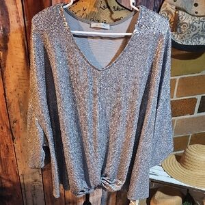 Ces Femme Shimmering Silver Blouse Size 3x